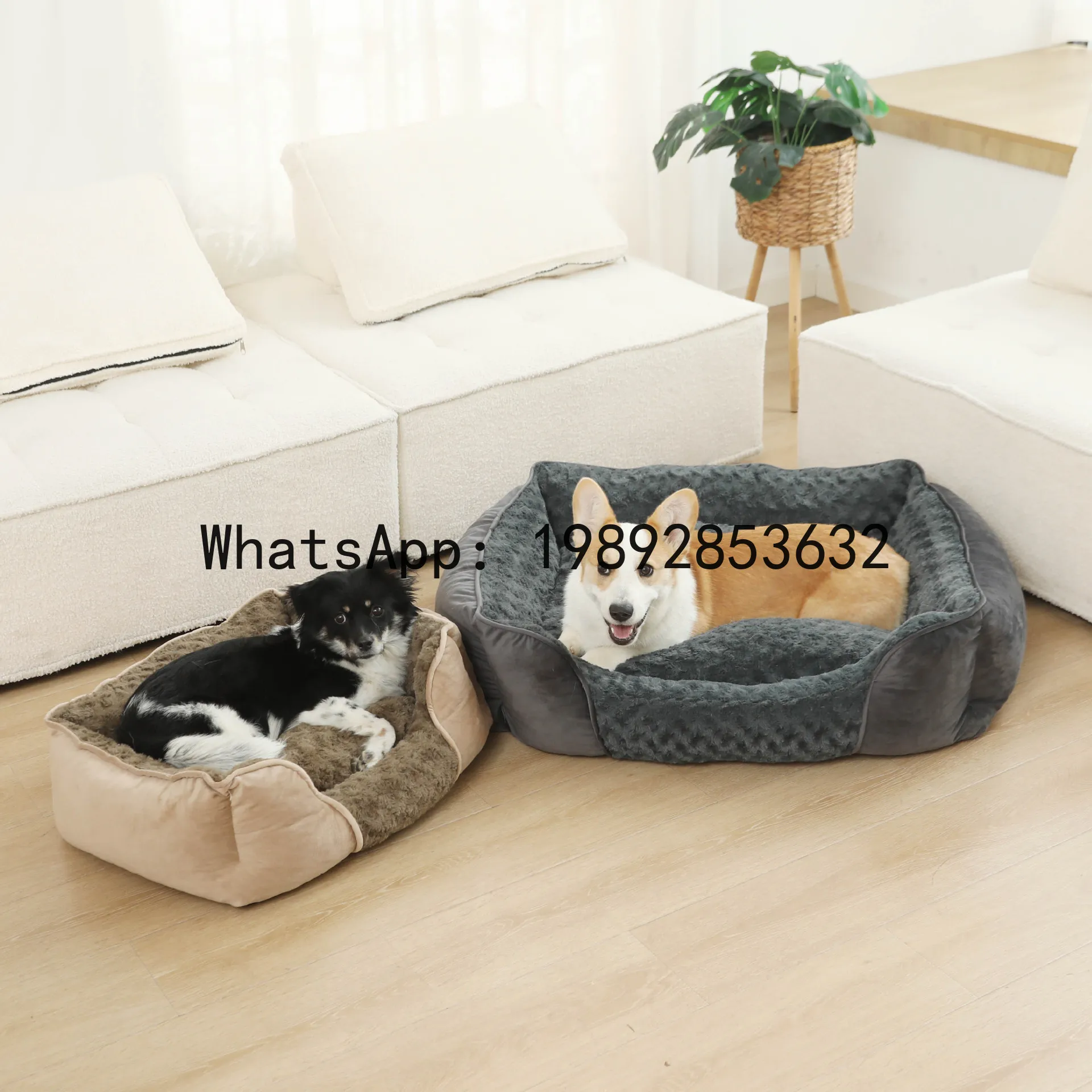 Pet X Supplies & Tack Howell Photos - X cat house semi-enclosed dog kennel