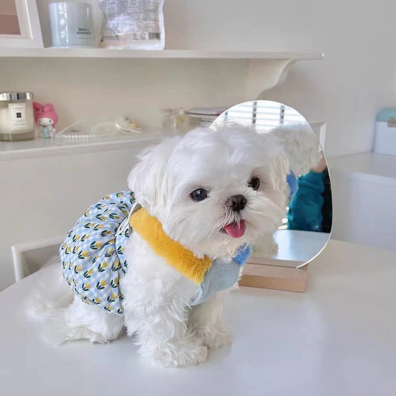 Creative Autumn and Winter Clo - Pet Supplies For Less ulasan dan harga