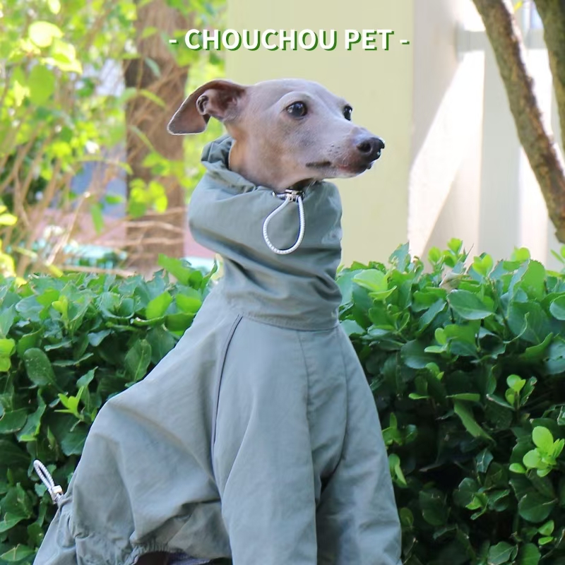 Italian Greyhound Raincoat Aut - Dog Raincoat ulasan dan harga