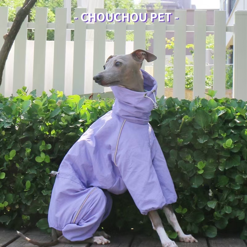 Italian Greyhound Raincoat Aut - Dog Raincoat ulasan dan harga