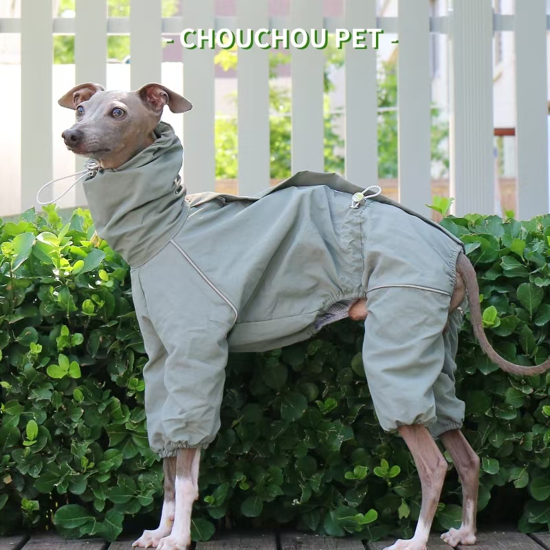 Italian Greyhound Raincoat Aut - Dog Raincoat ulasan dan harga