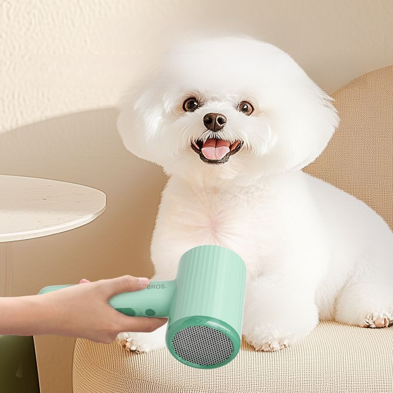 Professional Pet Hair Dryer Be - Pet Supplies For Less ulasan dan harga