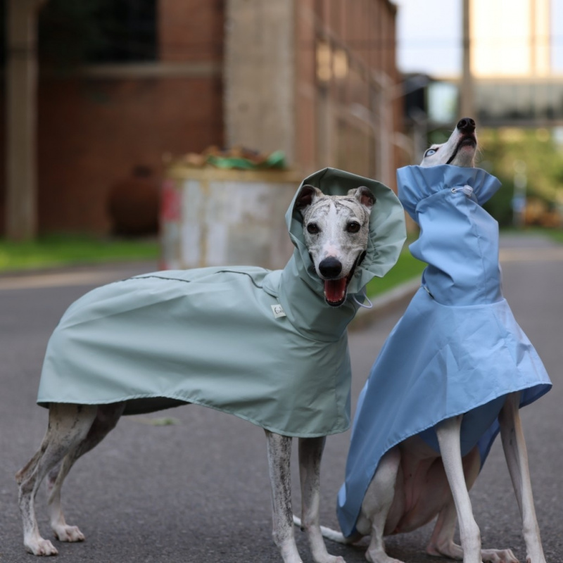 Solid Color Raincoat for Itali - Dog Raincoat ulasan dan harga