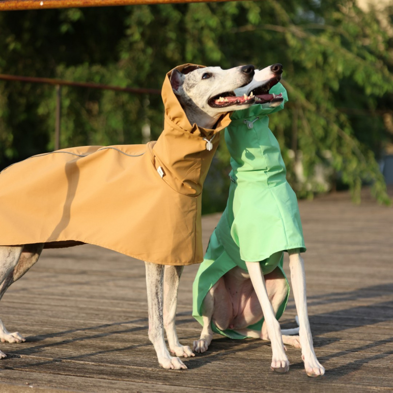 Solid Color Raincoat for Itali - Dog Raincoat ulasan dan harga