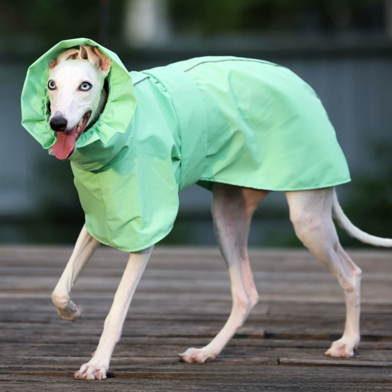 Solid Color Raincoat for Itali - Dog Raincoat ulasan dan harga