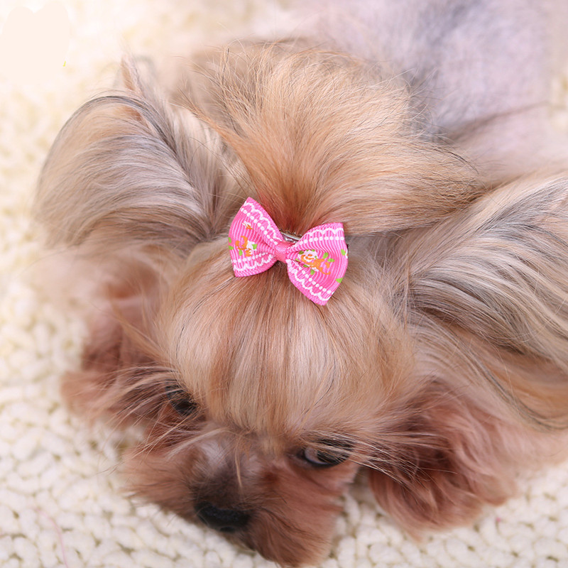 New Hairpin for Dogs Kitten Pu - Pet Supplies York ulasan dan harga