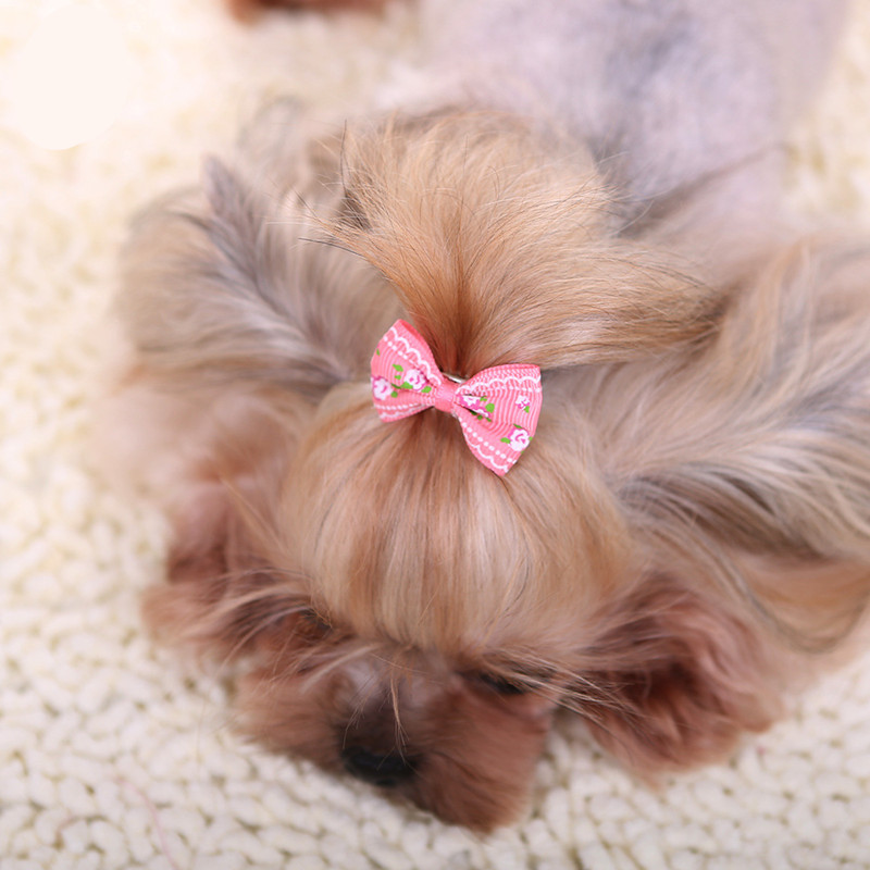 New Hairpin for Dogs Kitten Pu - Pet Supplies York ulasan dan harga