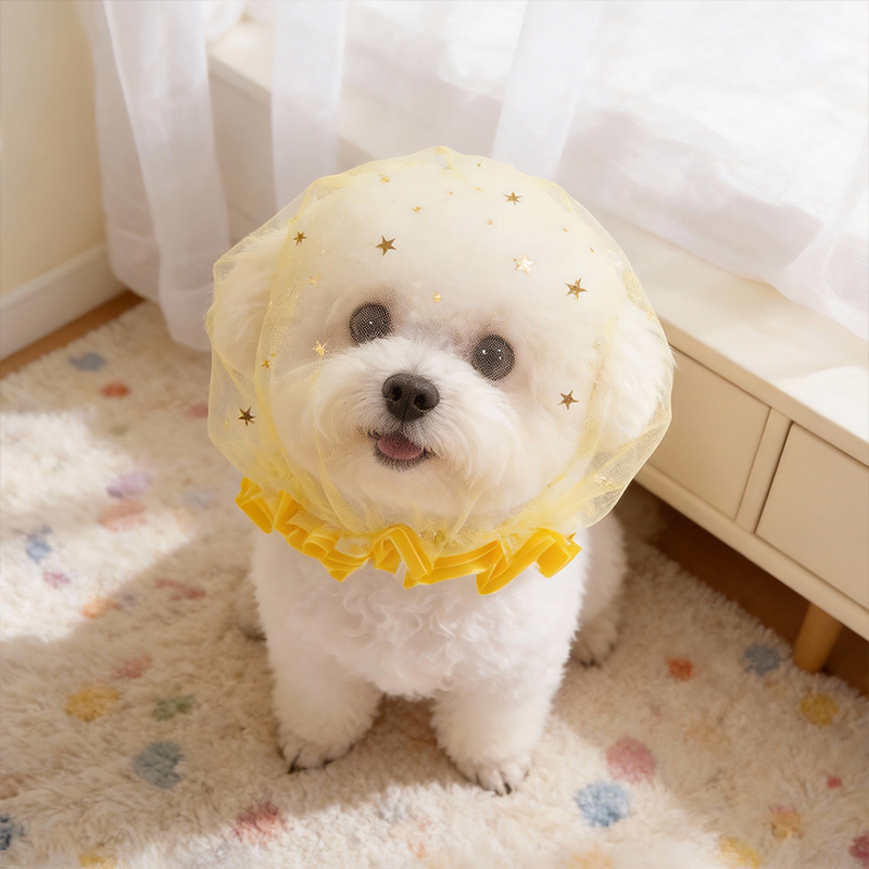 Anti Bark Summer Dog Cap Outdo - Pet Supplies York ulasan dan harga