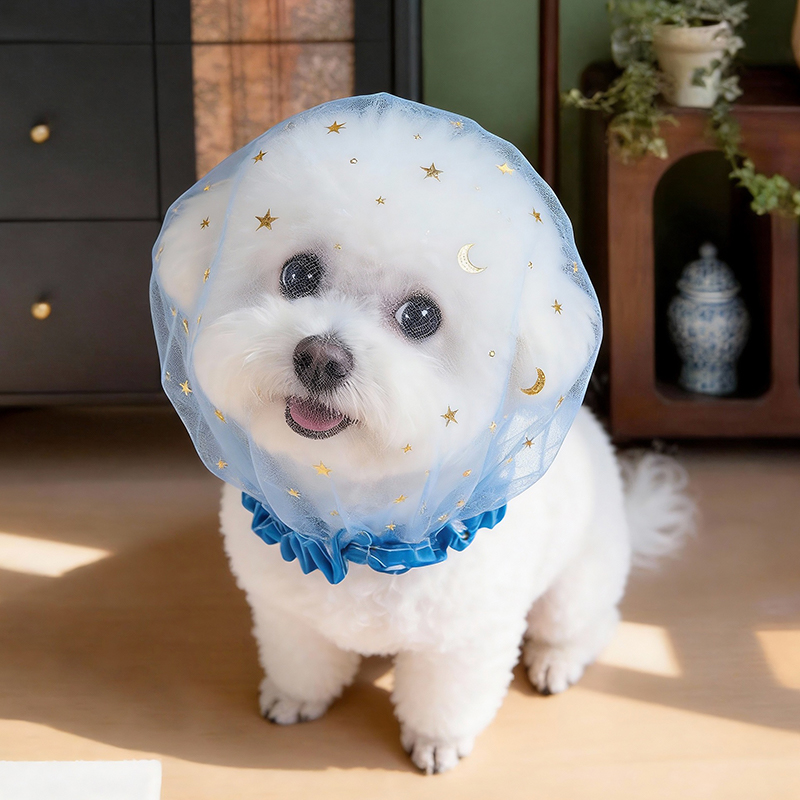 Anti Bark Summer Dog Cap Outdo - Pet Supplies York ulasan dan harga