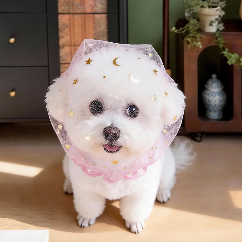 Anti Bark Summer Dog Cap Outdo - Pet Supplies York ulasan dan harga