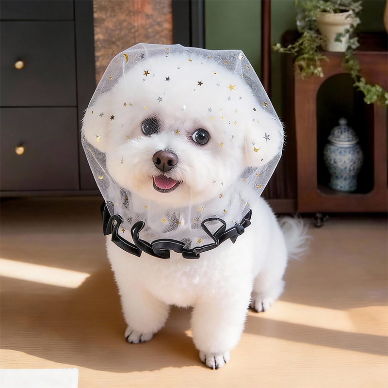 Anti Bark Summer Dog Cap Outdo - Pet Supplies York ulasan dan harga