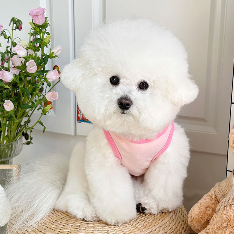 Cartoon Dog Clothes Sleeveless - Pet Supplies York ulasan dan harga