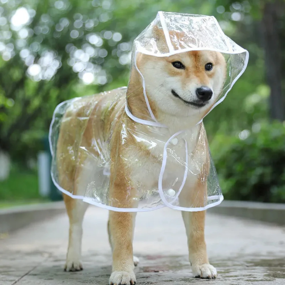 Dog Raincoat Puppy Transparent - Dog Raincoat ulasan dan harga