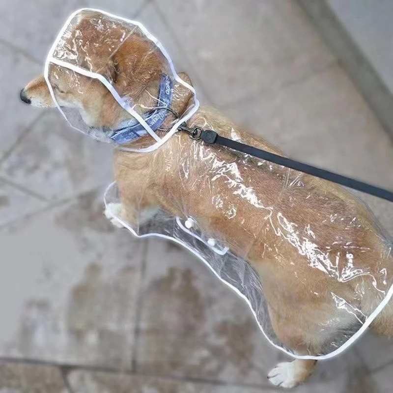 Dog Raincoat Puppy Transparent - Dog Raincoat ulasan dan harga