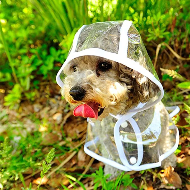 Dog Raincoat Puppy Transparent - Dog Raincoat ulasan dan harga
