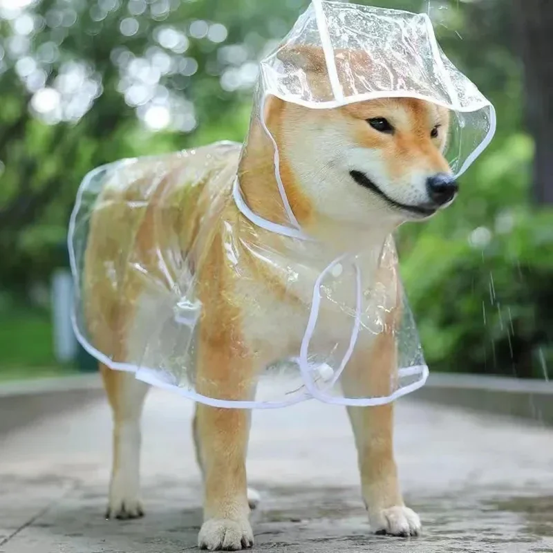 Dog Raincoat Puppy Transparent - Dog Raincoat ulasan dan harga