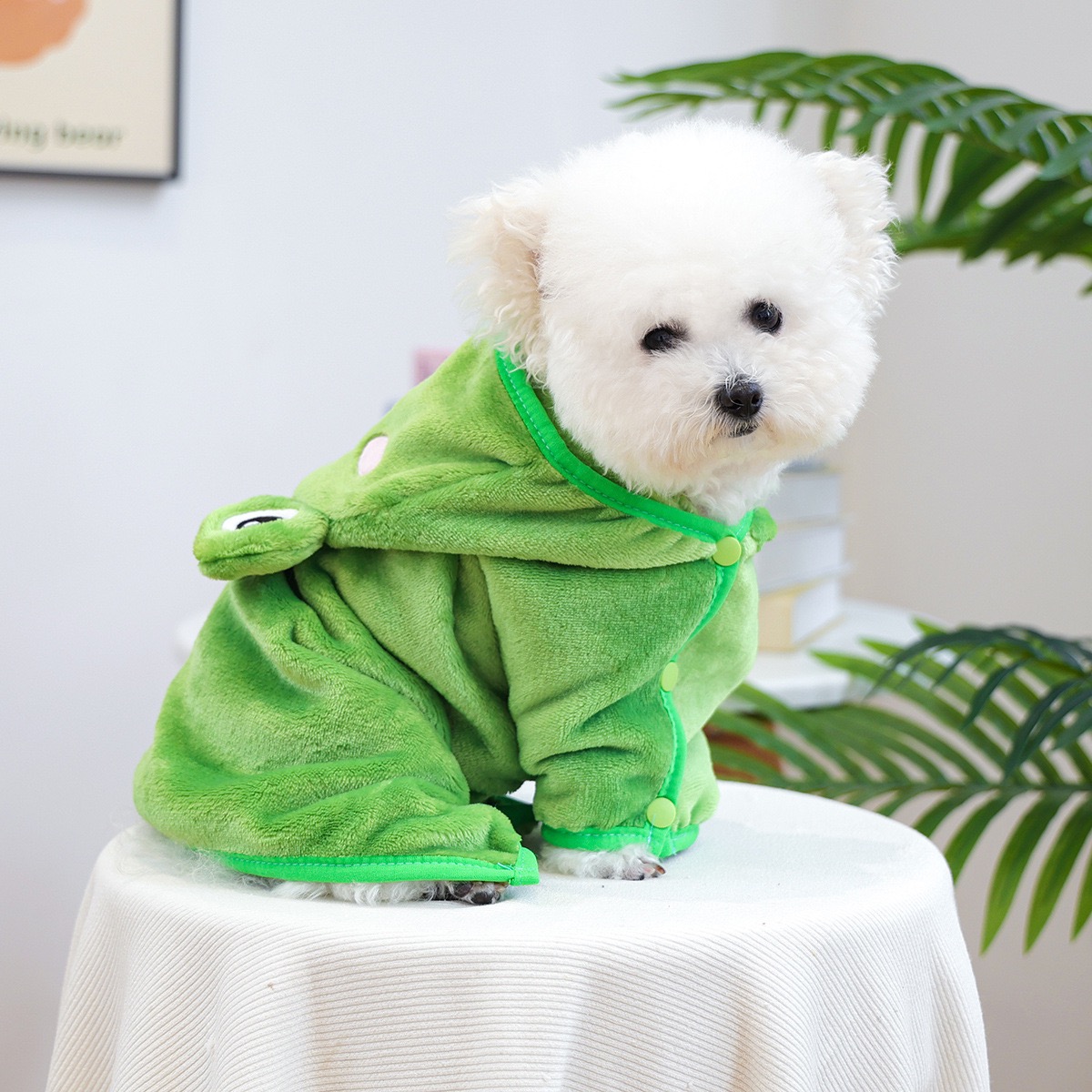 Frog Cap One Piece Dogs Cloak  - Pet Supplies York ulasan dan harga