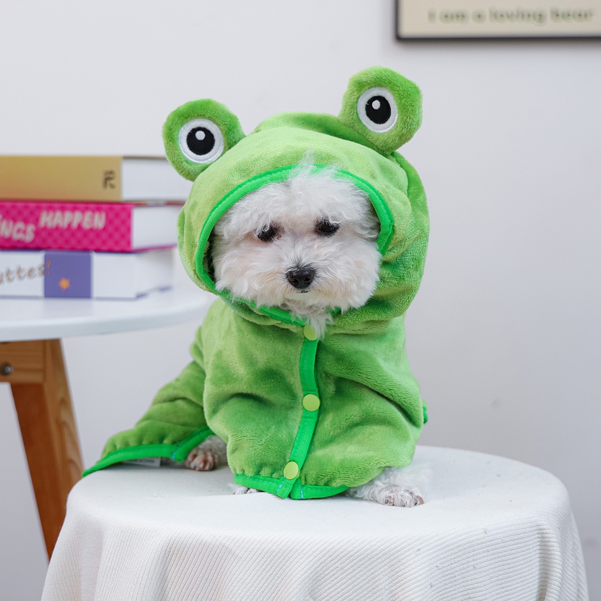 Frog Cap One Piece Dogs Cloak  - Pet Supplies York ulasan dan harga
