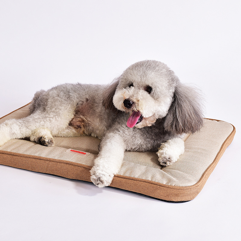 Four Seasons Pet Supplies Dog  - Pet Supplies Plus ulasan dan harga