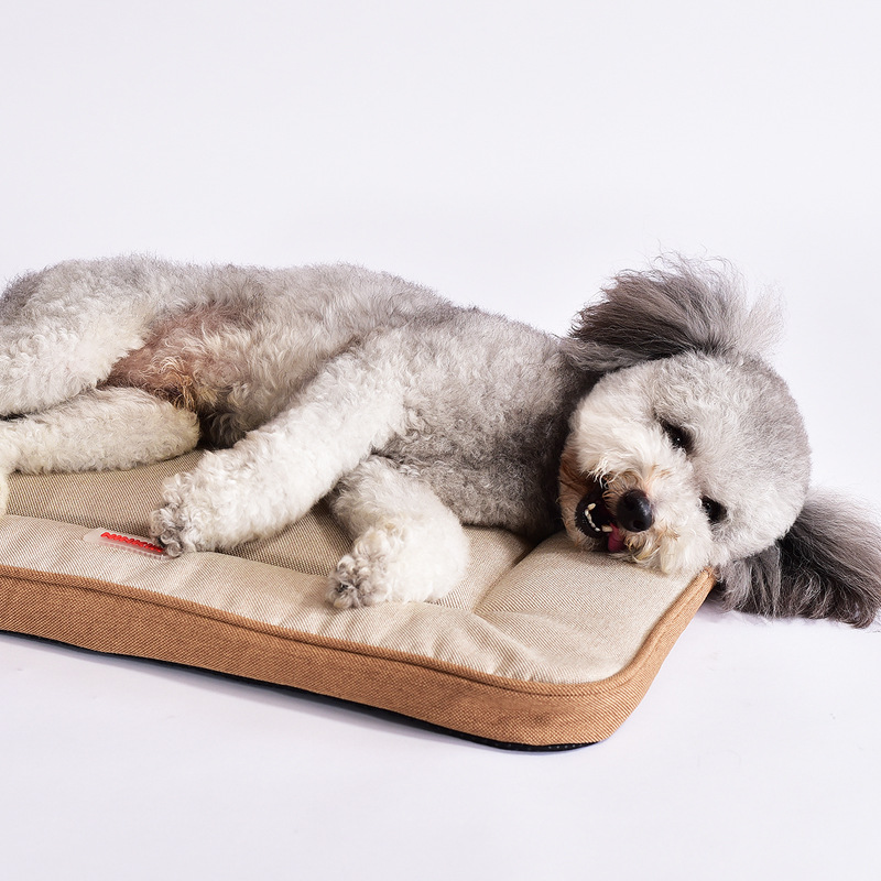 Four Seasons Pet Supplies Dog  - Pet Supplies Plus ulasan dan harga