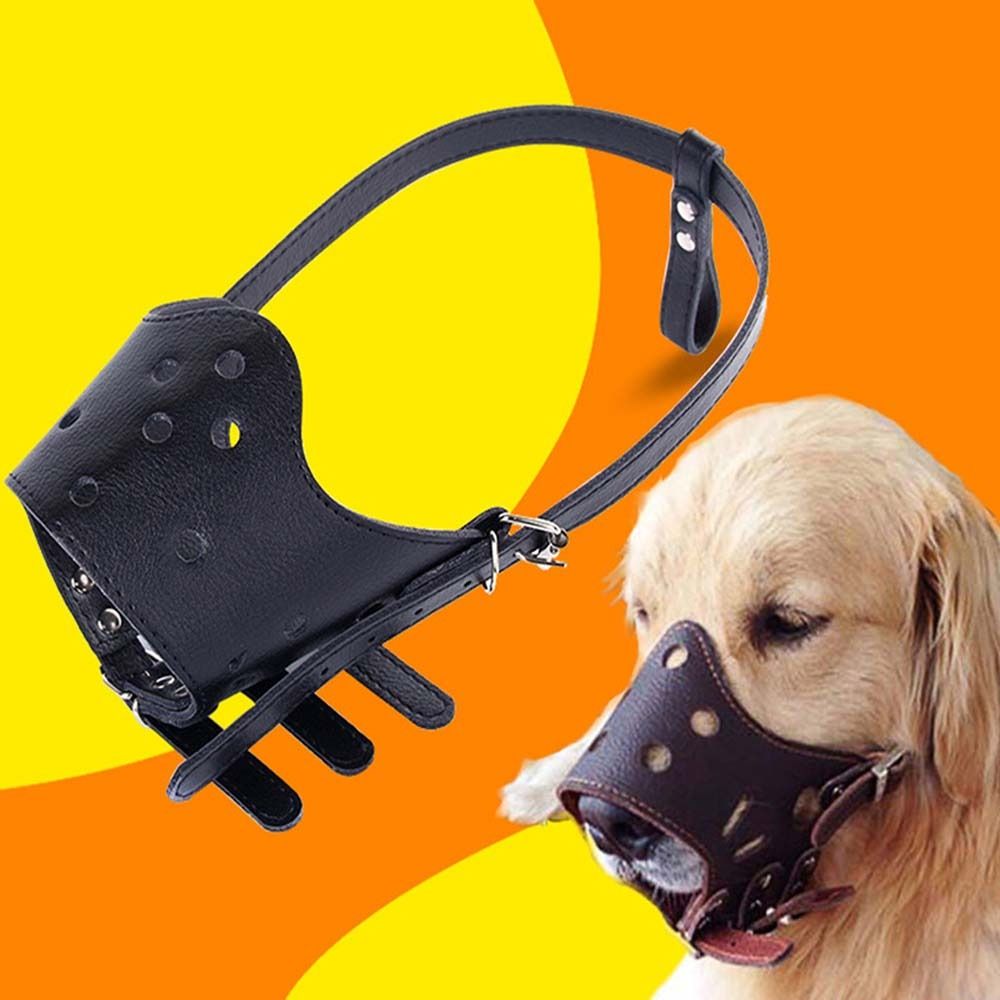 Anti-Biting Secure Anti Bark C - Pet Supplies Plus ulasan dan harga