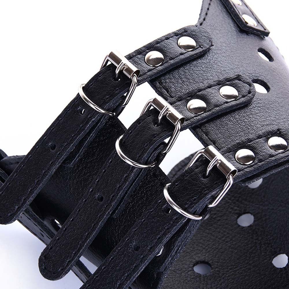 Anti-Biting Secure Anti Bark C - Pet Supplies Plus ulasan dan harga