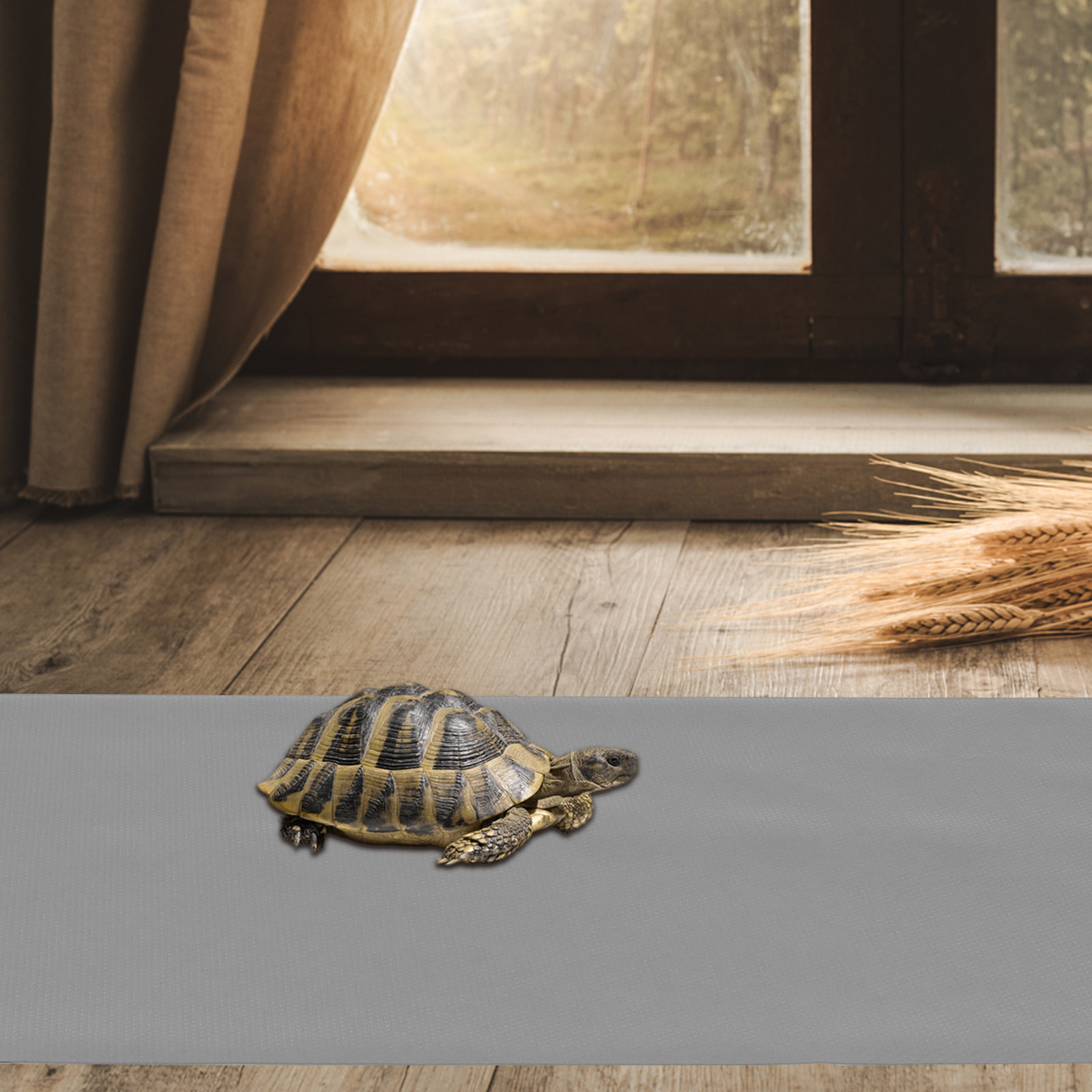 1Sheet Eva Reptile Cage Liner  - Cat Litter Mat ulasan dan harga