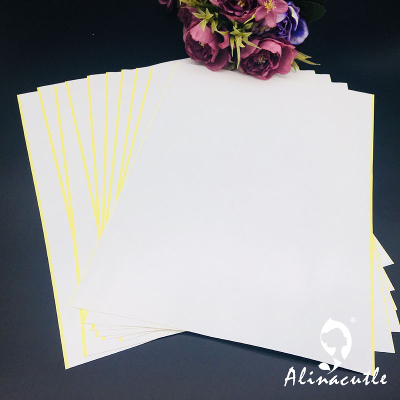 10PC X A4 Double Sided Tape St - Pet X Supplies & Tack Howell Photos ulasan dan harga