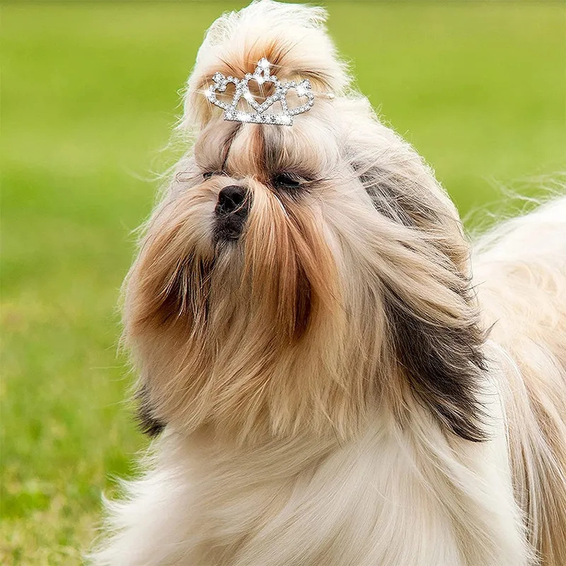 Bling Delicate Crystal Dog Hai - Pet Supplies York ulasan dan harga