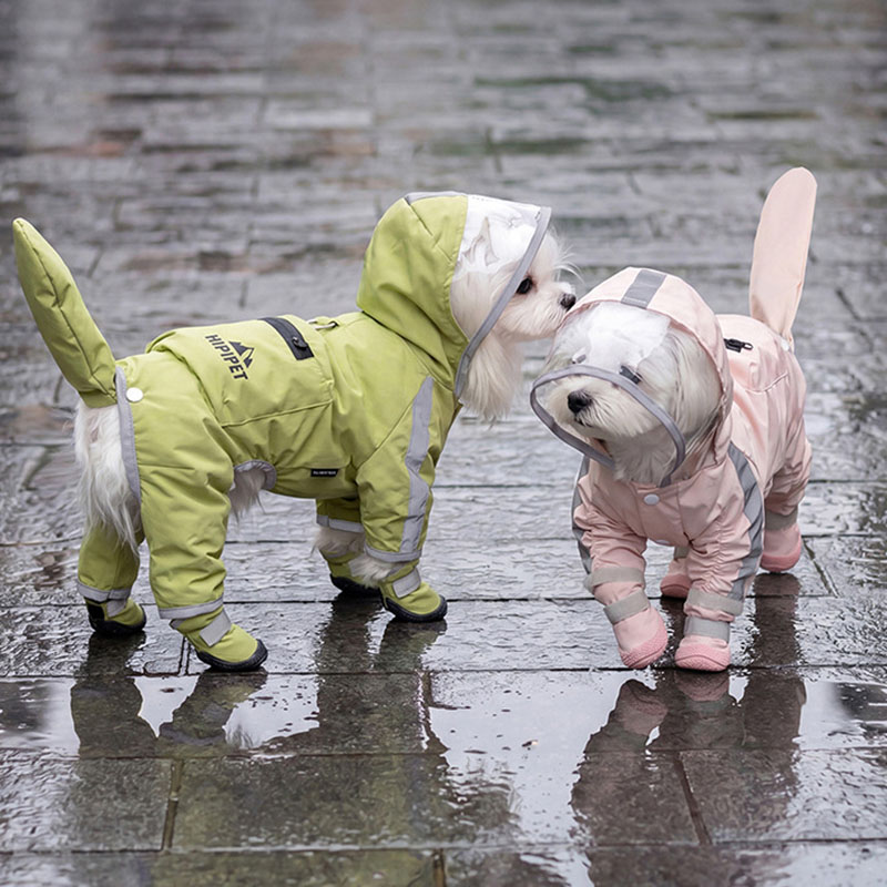 Waterproof Dog Raincoat Clear  - Dog Raincoat ulasan dan harga