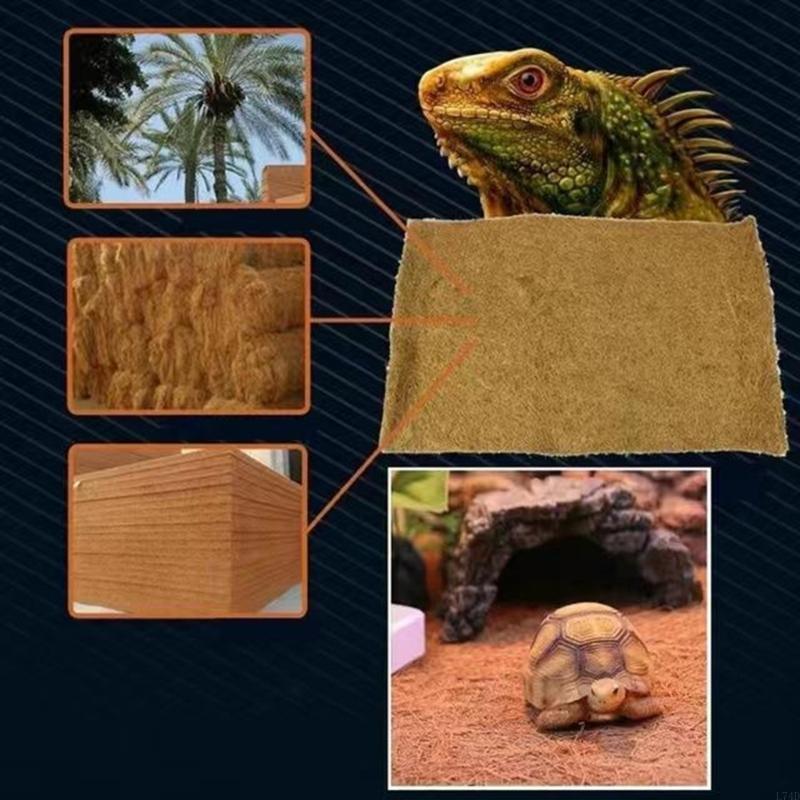 L74D Durable and Absorbent Mat - Cat Litter Mat ulasan dan harga
