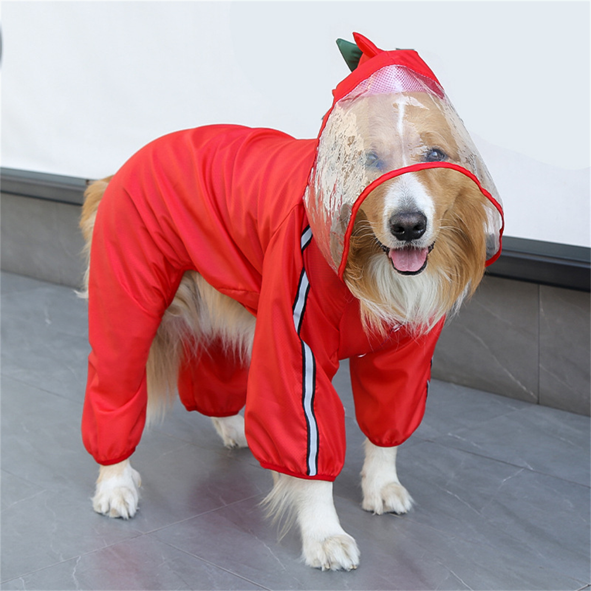Dog Raincoat Waterproof Dogfac - Dog Raincoat ulasan dan harga