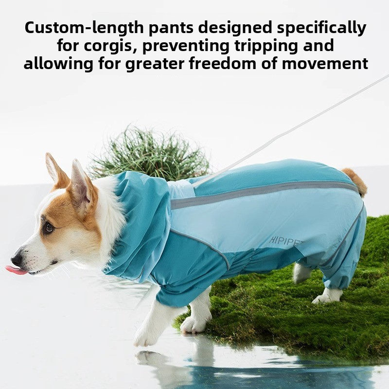 2026 Full Coverage Color Block - Dog Raincoat ulasan dan harga