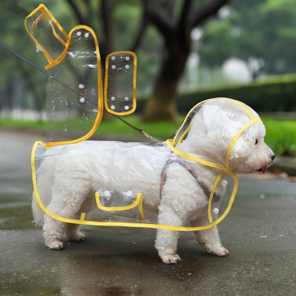 Dog Raincoat Transparent Whole - Dog Raincoat ulasan dan harga