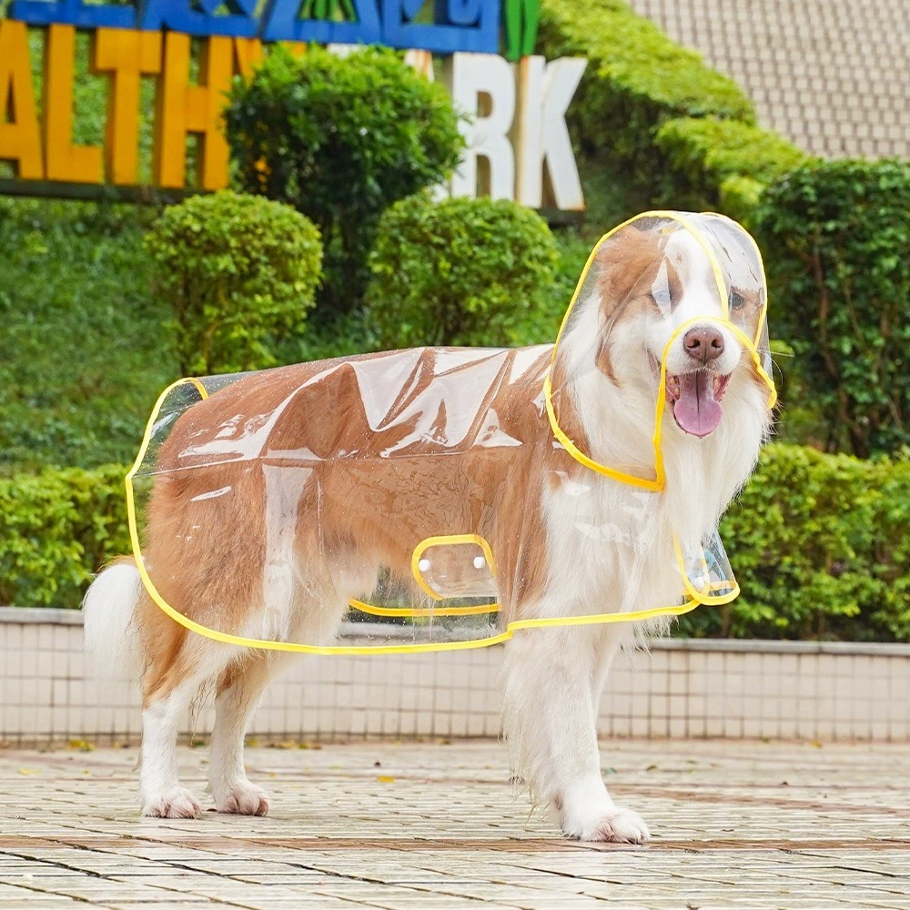 Dog Raincoat Transparent Whole - Dog Raincoat ulasan dan harga