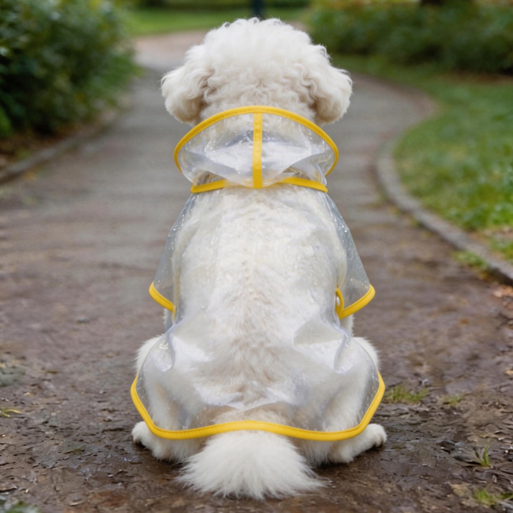 Dog Raincoat Transparent Whole - Dog Raincoat ulasan dan harga