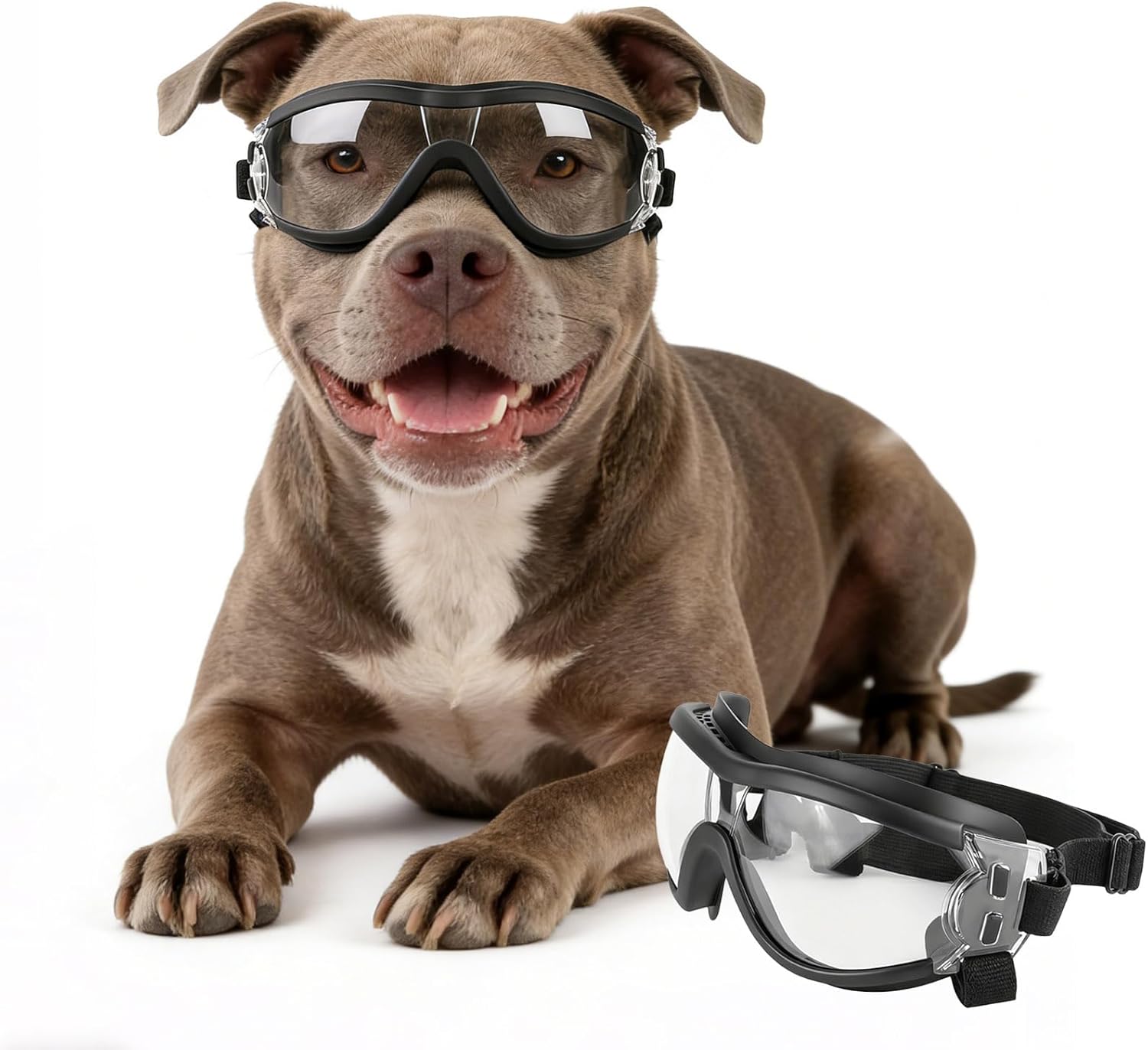 Adjustable Pet Goggles for Dog - Pet Supplies Plus ulasan dan harga