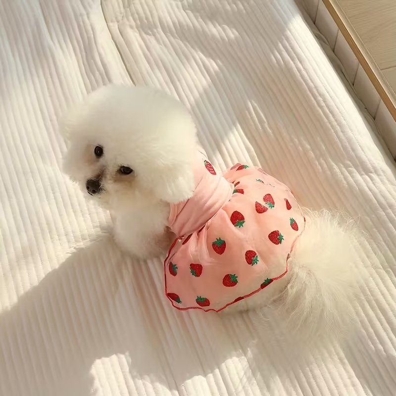 Summer Thin Puppy Princess Ski - Pet Supplies York ulasan dan harga