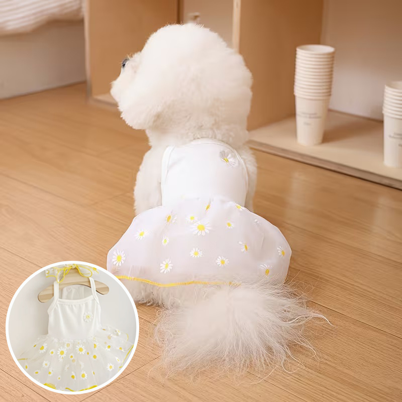 Summer Thin Puppy Princess Ski - Pet Supplies York ulasan dan harga