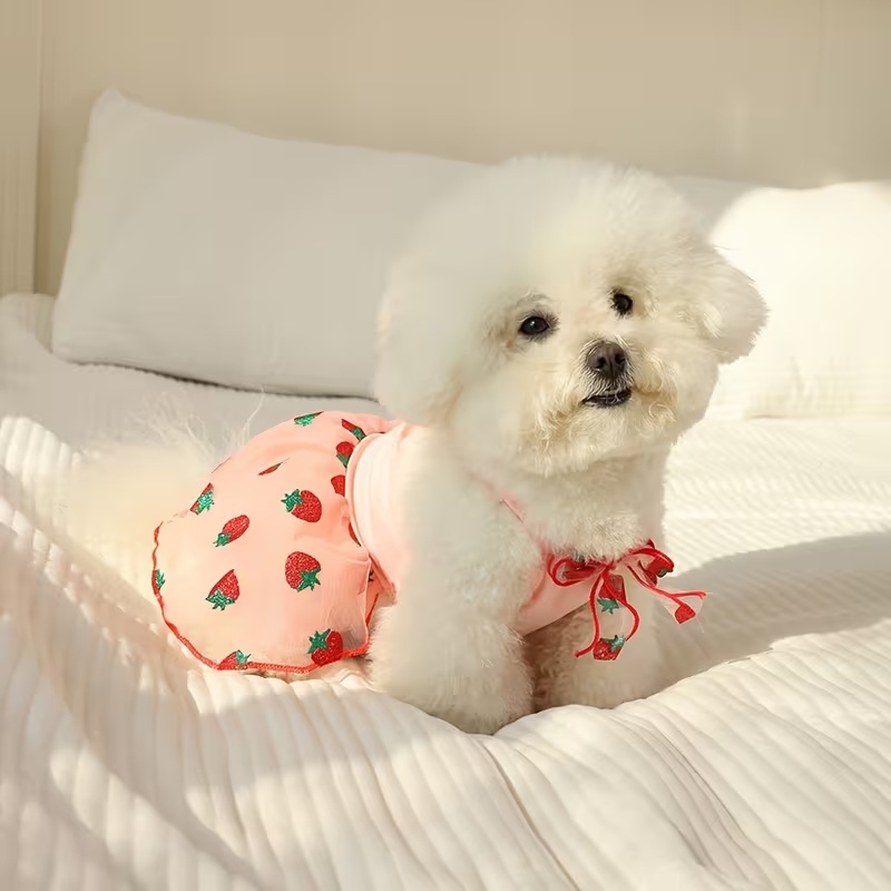 Summer Thin Puppy Princess Ski - Pet Supplies York ulasan dan harga