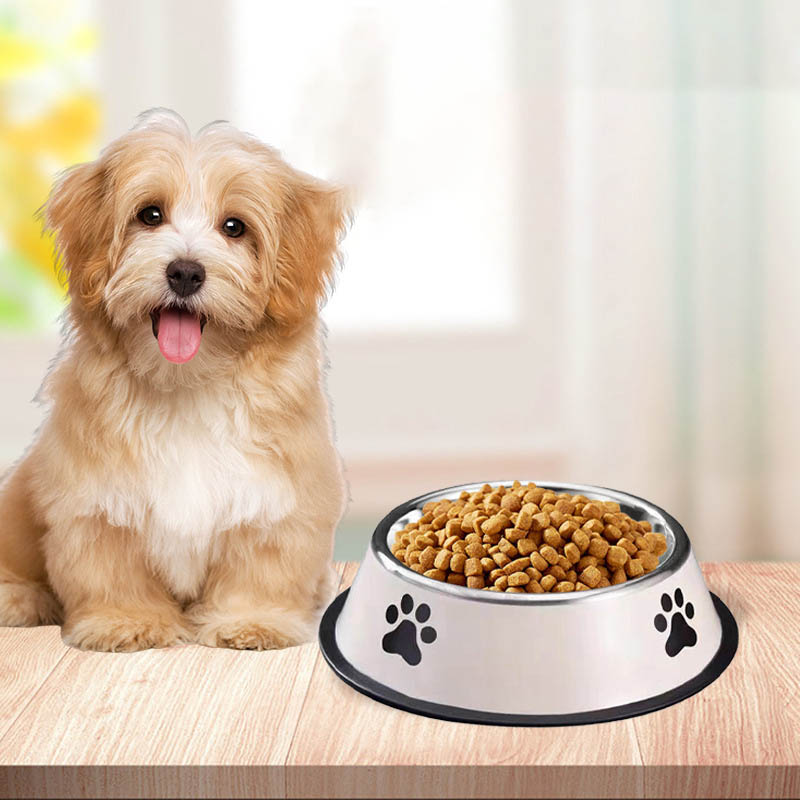 Stainless Steel Pet Bowl Cat B - Pet Supplies Plus ulasan dan harga