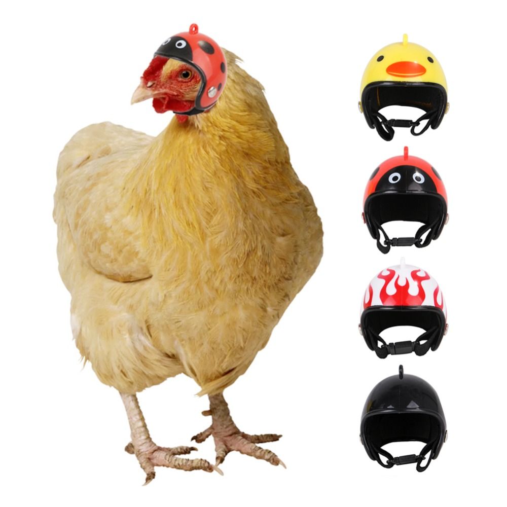ABS Pet Supplies Funny Pet Pro - Pet X Supplies & Tack Howell Photos ulasan dan harga