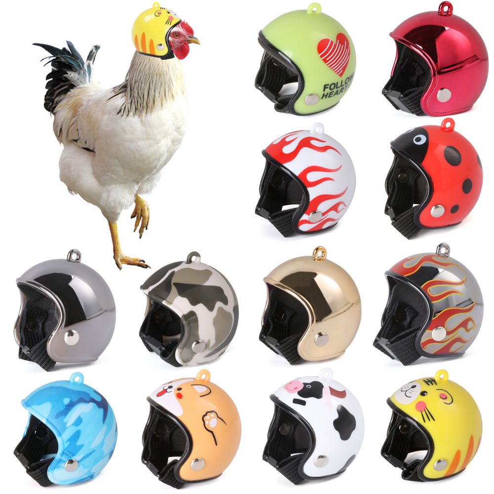 ABS Pet Supplies Funny Pet Pro - Pet X Supplies & Tack Howell Photos ulasan dan harga