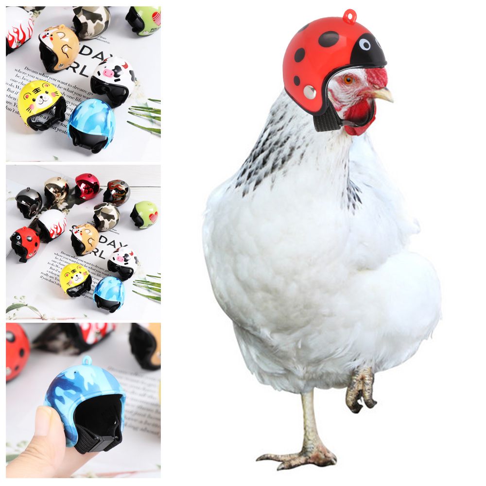 ABS Funny Pet Supplies Pet Pro - Pet X Supplies & Tack Howell Photos ulasan dan harga