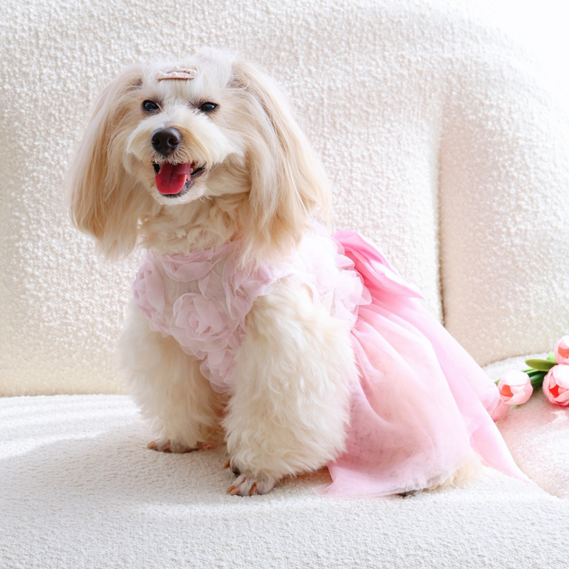 Spring Summer Thin Puppy Princ - Pet Supplies York ulasan dan harga