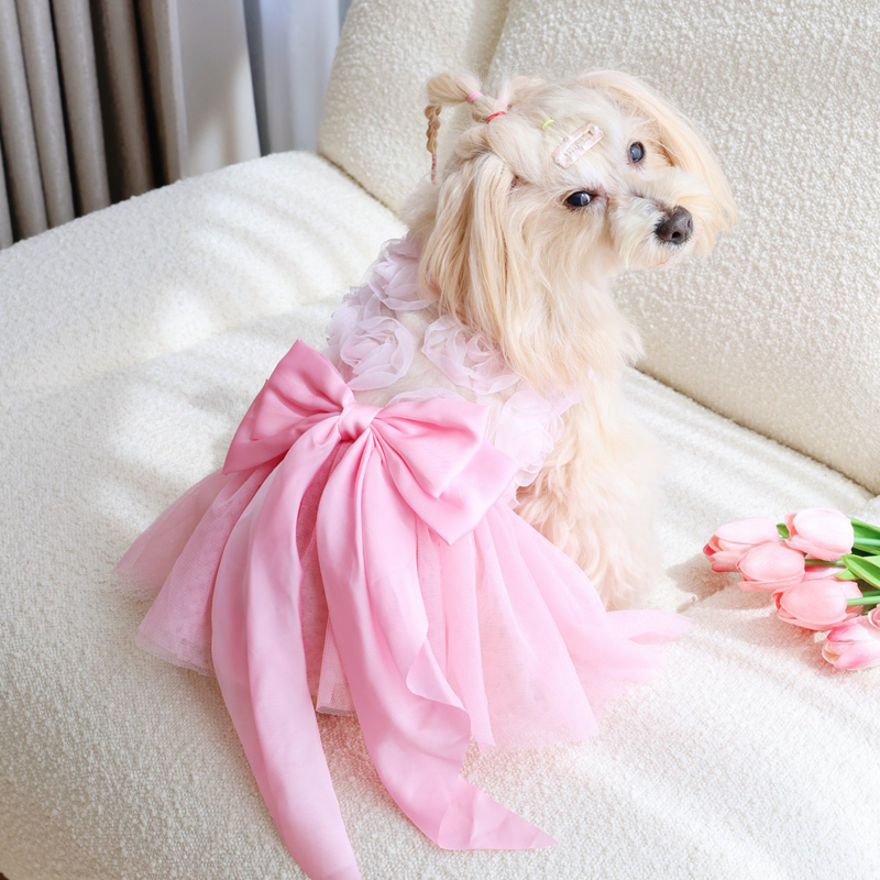 Spring Summer Thin Puppy Princ - Pet Supplies York ulasan dan harga